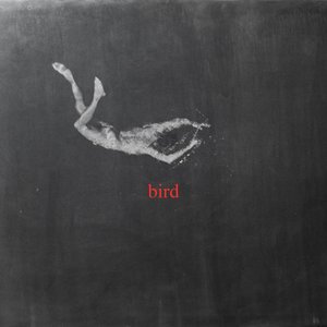 Image for 'Bird'