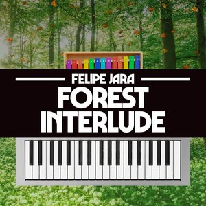 'Forest Interlude (From "Donkey Kong Country 2")' için resim