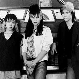 Image for 'The Fabulous Stains'
