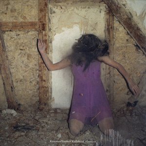 Immagine per 'Absencen'