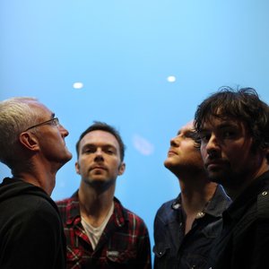 Image for 'The Pineapple Thief'