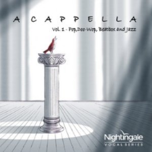 “A Cappella, Vol. 1: Pop, Doo Wop, Beatbox & Jazz”的封面