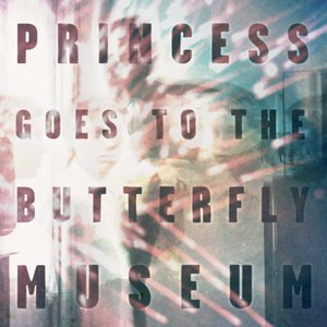 “Princess Goes To The Butterfly Museum”的封面