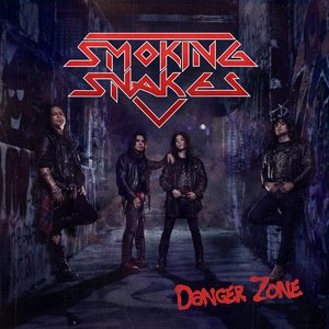 Image for 'Danger Zone'