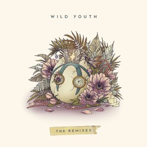 “Wild Youth (The Remixes)”的封面