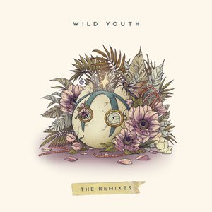 Image for 'Wild Youth (The Remixes)'