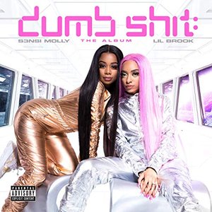 'Dumb Shit: The Album' için resim