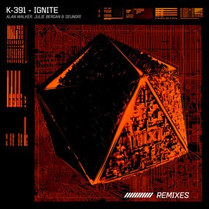 Imagen de 'Ignite (Remixes)'