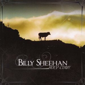 Image for 'Holy Cow'