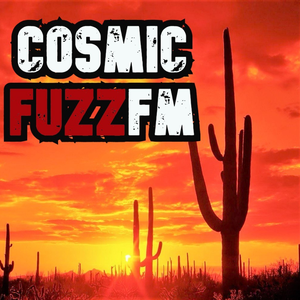 CosmicFuzzTeam1