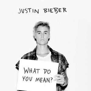 Image for 'What Do You Mean?'