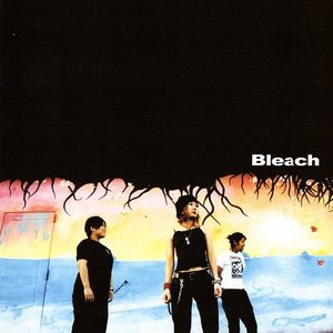 Image for 'Bleach'