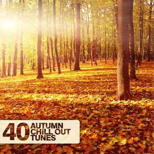 Imagem de '40 Autumn Chill Out Tunes'