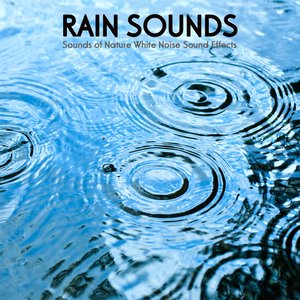 Image for 'Rain Sounds Ambience for Meditation, Relaxation, Massage, Yoga, Tai Chi, Reiki, Sleep Music, Baby Sleep and Relaxing Ambient Soundscapes'