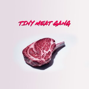 Image for 'The Tiny Meat Gang Podcast'