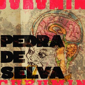 Image for 'Pedra de Selva'