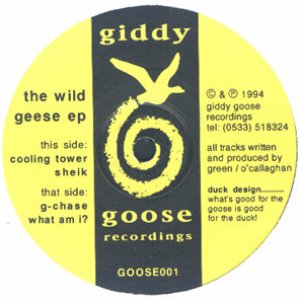 Image for 'The Wild Geese EP'