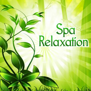 Image for 'Spa Relaxation – Nature Sounds to Relax, New Age Spa Music, Wellness Relaxation, Healing Massage'