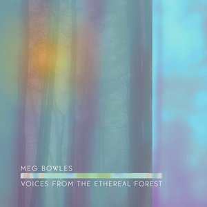 Image for 'Voices from the Ethereal Forest'