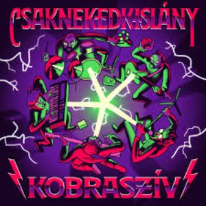 Image for 'Kobraszív'