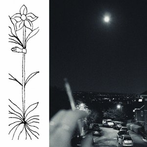 Image for 'A Soft and Gatherable Star'
