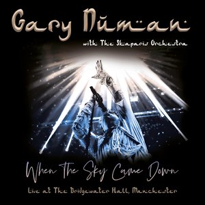 “When the Sky Came Down (Live at the Bridgewater Hall, Manchester)”的封面