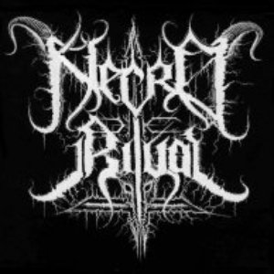 Image for 'Necro Ritual'