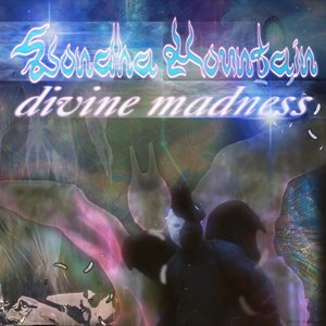 Image for 'Divine Madness'