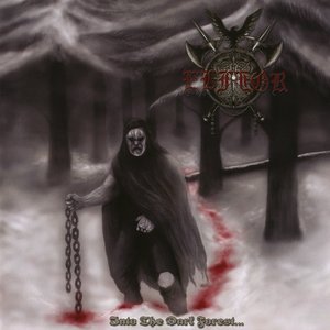 Image pour 'Into The Dark Forest...'