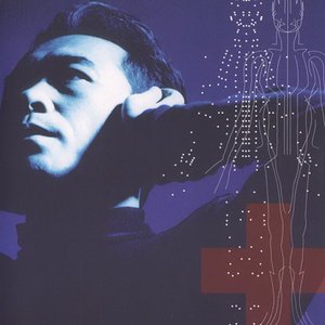 “Susumu Hirasawa”的封面