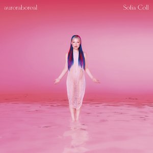 “auroraboreal”的封面