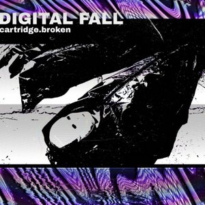 Image for 'Digital Fall'