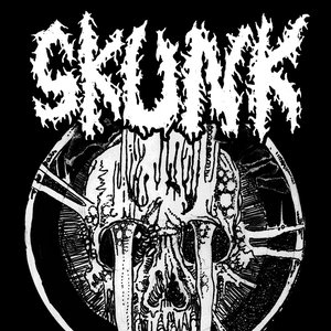 Image for 'Skunk'