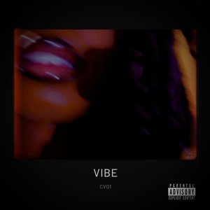 “VIBES”的封面