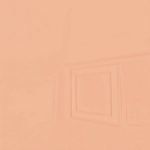 Image for 'All Flowers In Time Bend Towards The Sun'