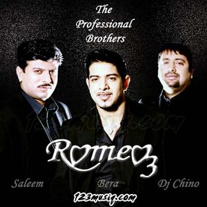 Image for 'The Professional Brothers'