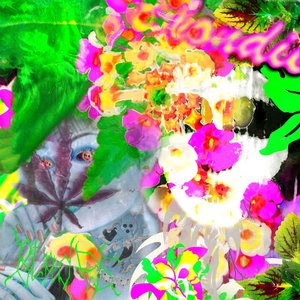 Image for 'Blondie'