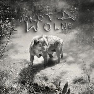 Imagem de 'Wolne'