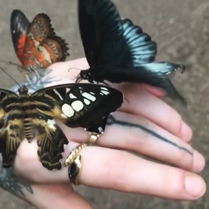 rosemaeraegan