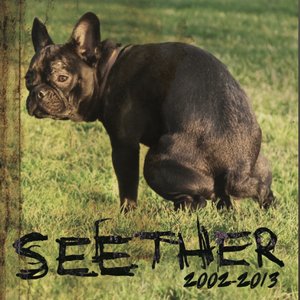 Image for 'Seether: 2002 - 2013 (Deluxe Version)'