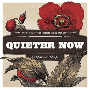 Bild für 'Quieter Now: Lullaby Renditions of Taking Back Sunday songs'