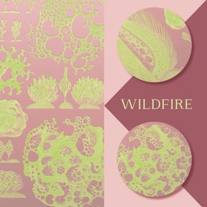 Image for 'Wildfire'