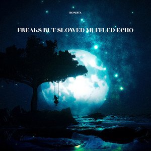 Image for 'Freaks but Slowed Muffled Echo'