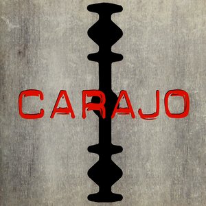 Image for 'Carajo'