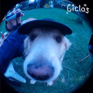 Image for 'Ciclos'