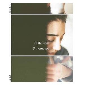 'In the Still & Homespun Pt. III - EP' için resim