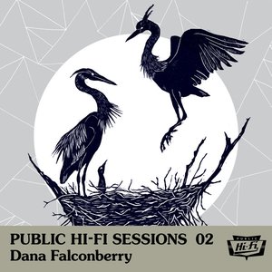 Imagem de 'Public Hi-Fi Sessions 02'