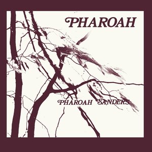 Image for 'Pharoah'