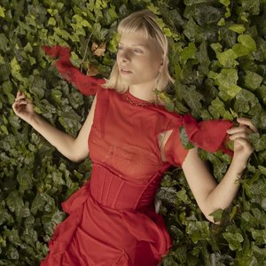 “Aurora”的封面