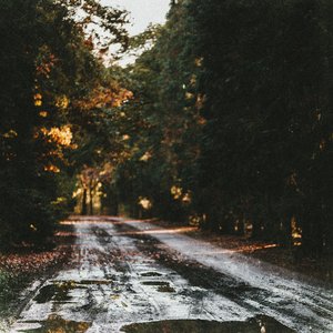 Image for 'In Summer'